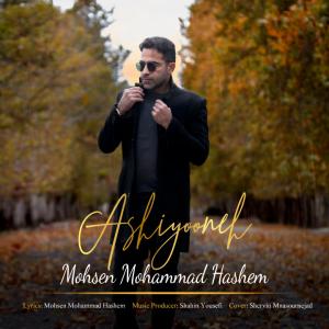   محسن محمد هاشم