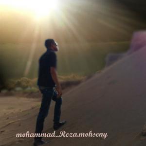   محمدرضا محسنی