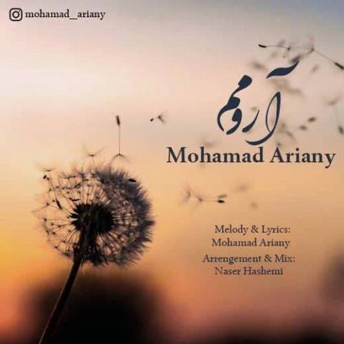   محمد آریانی