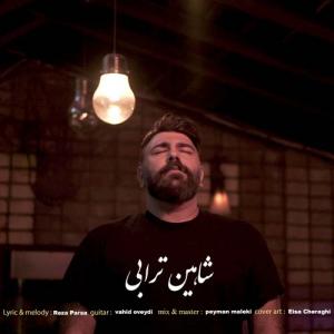   شاهین ترابی