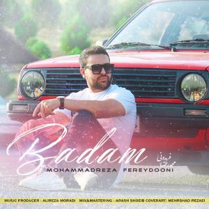   محمدرضا فریدونی