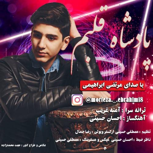   مرتضی ابراهیمی