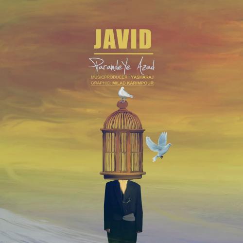   جاوید رستمی