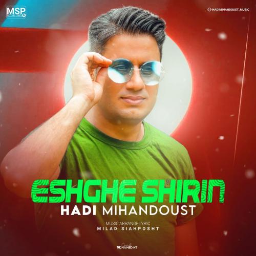   هادی میهن دوست