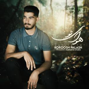   کوروش پالاش