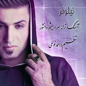   ميثم دانشور