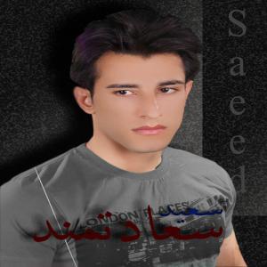   سعید سعادتمند