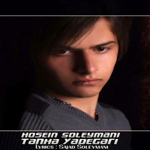   حسین سلیمانی