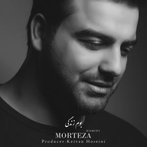   مرتضی حمیدی