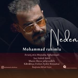   محمد رحیم لو