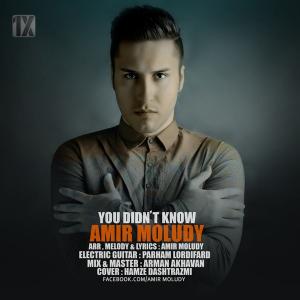   امیر مولودی