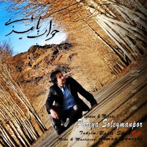   پوریا سلیمانپور