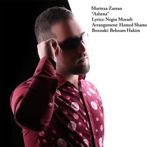   مرتضی زارعان