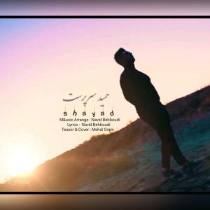   حمید سرپرست