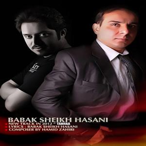   بابک شیخ حسنی