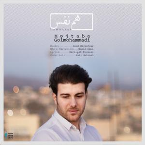   مجتبی گل محمدی