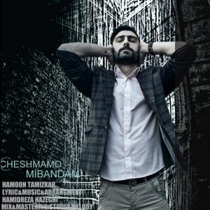   هامون تمیزکار