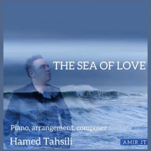   حامد تحصیلی