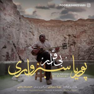   پوریا سبزواری