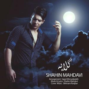   شاهين مهدوى