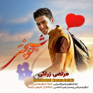   مرتضی زرلکی