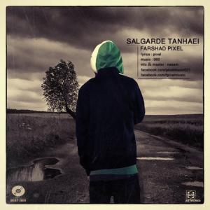   فرشاد پیکسل