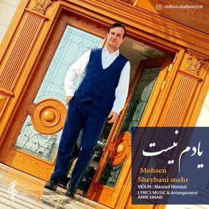   محسن شیبانی مهر