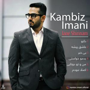   کامبیز ایمانی