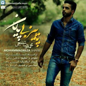   محمدرضا شفیعی و مجید طیبی