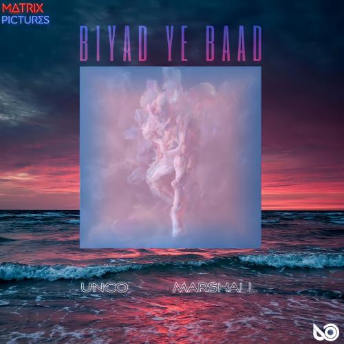   آنکو و مارشال