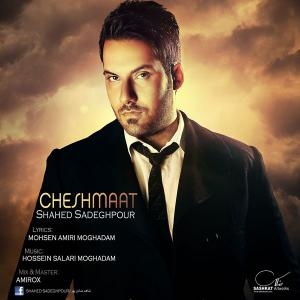   شاهد صادق پور