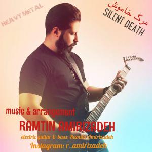   رامتین امیری زاده