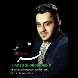   حامد شکوهمند