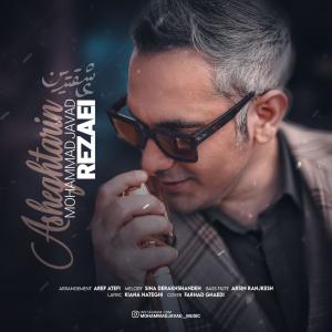   محمد جواد رضایی