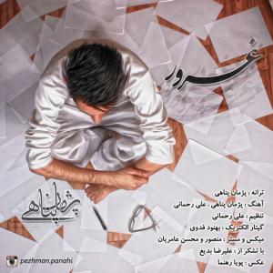   پژمان پناهی