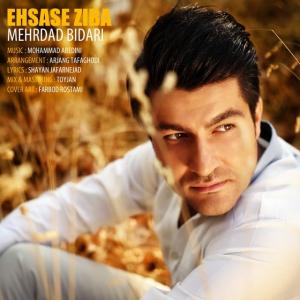   مهرداد بیداری