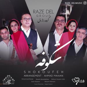   گروه راز دل