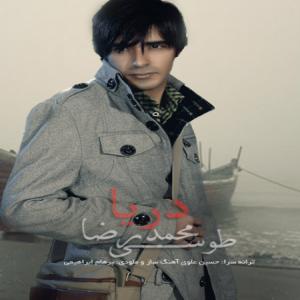   محمدرضا طوسی