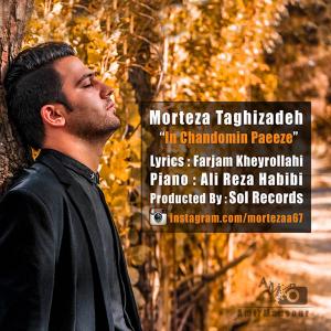   مرتضی تقی زاده