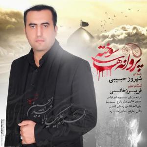   شهروز حبیبی