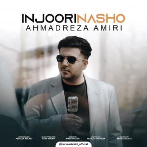   احمدرضا امیری