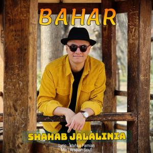   شهاب جلالی نیا