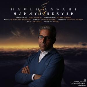   حامد انصاری