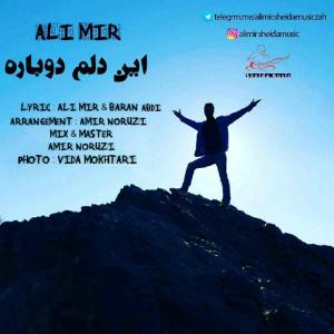   رضا شیری و علی میر