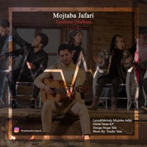   مجتبی جعفری