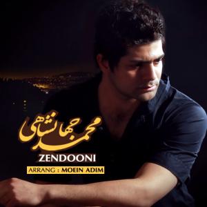   محمد جهانشاهی