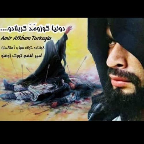   امیر افخم تورک اوغلو