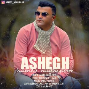   حامد نقی پور