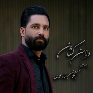   اشکان شاه محمدی