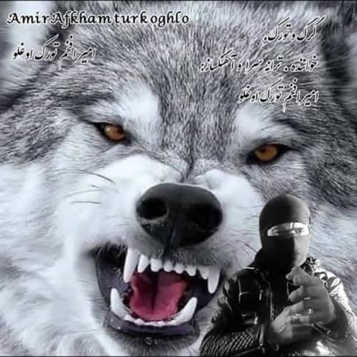   امیر افخم تورک اوغلو